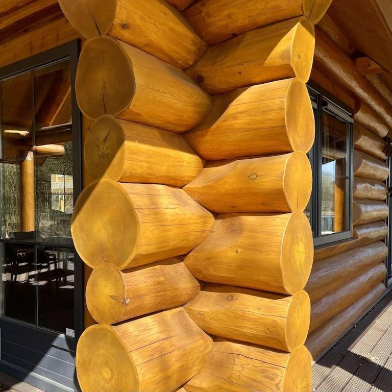 Unieke Houten Villa Met Sauna In Twente - 5P Den Ham Kültér fotó